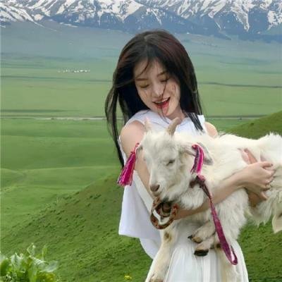 变形金刚08动画版第二季